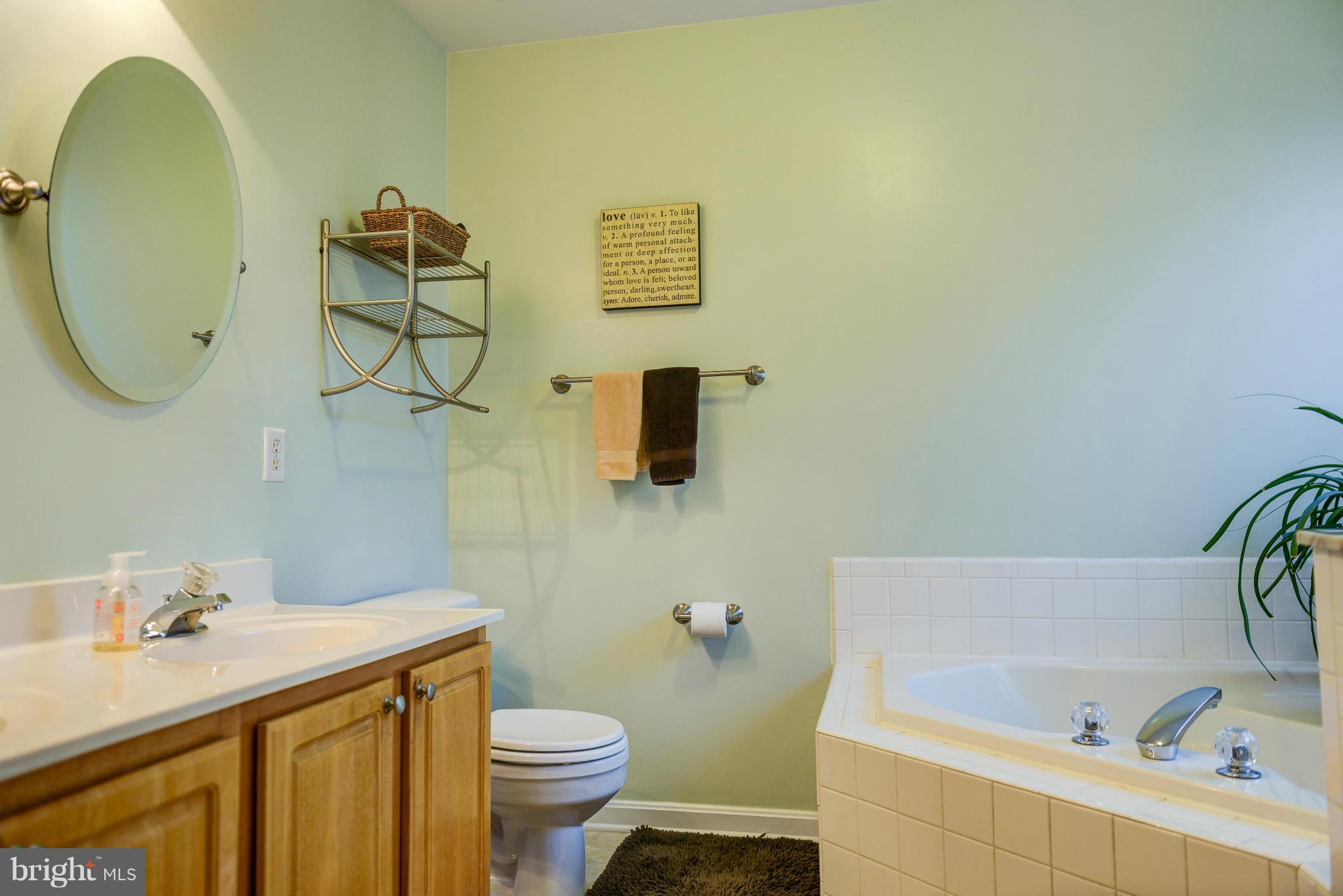 770 Shallow Ridge Court Abingdon, MD 21009 - Photo 16 of 22 Bath (Master)