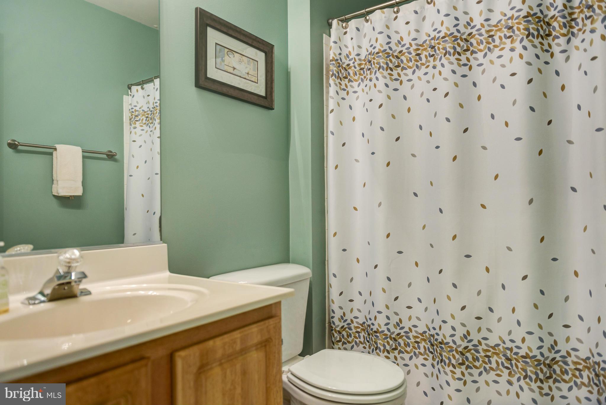 770 Shallow Ridge Court Abingdon, MD 21009 - Photo 10 of 22 Bath