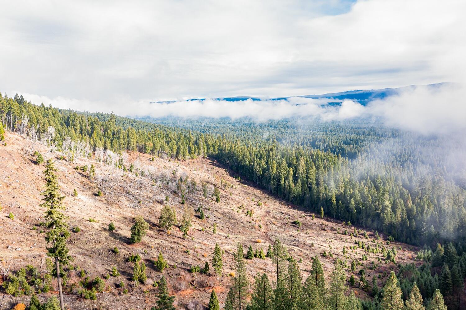 River Road Trail, OR 97541 - Photo 19 of 20 DJI_0982HDR27