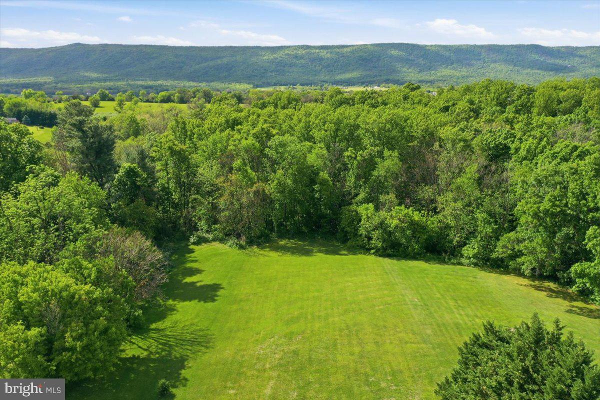 1503 Country Brook Road Toms Brook, VA 22660 - Photo 8 of 53 Gallery Image 8