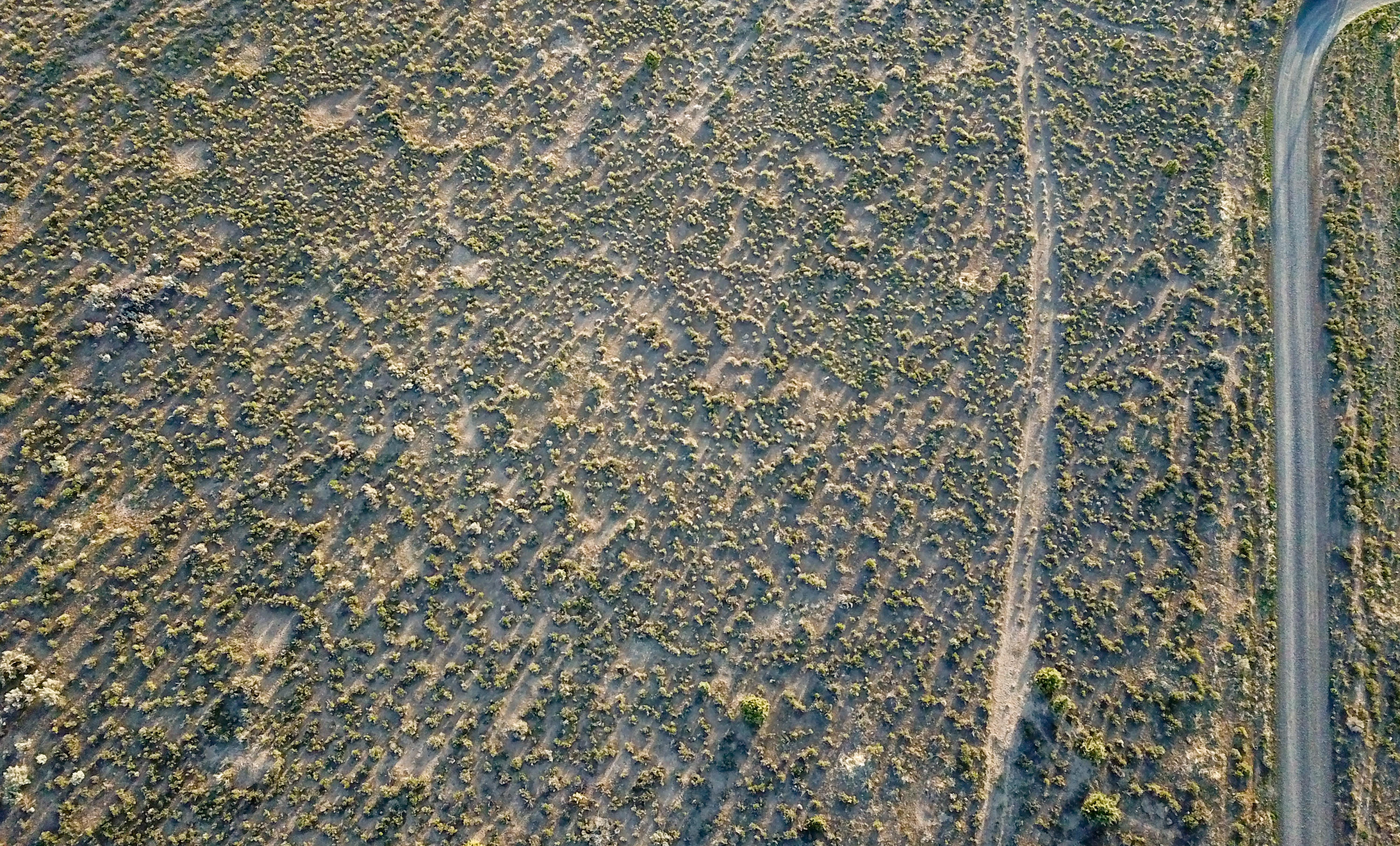 Southeast Custer Road Prineville, OR 97754 - Photo 6 of 17 DJI_0038