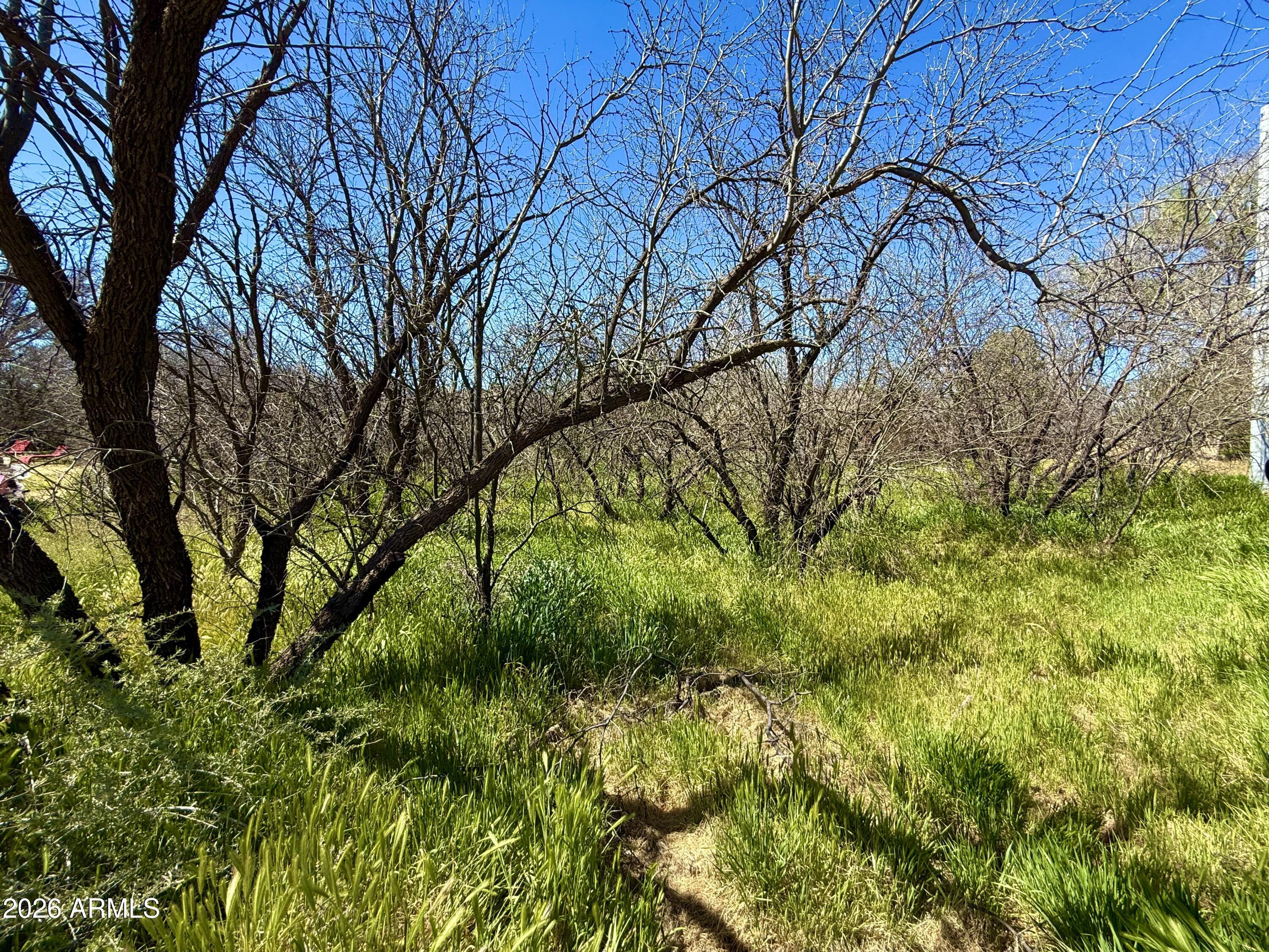 5360 North Kramer Drive, Unit 425 Rimrock, AZ 86335 - Photo 2 of 11 a view of backyard with green space