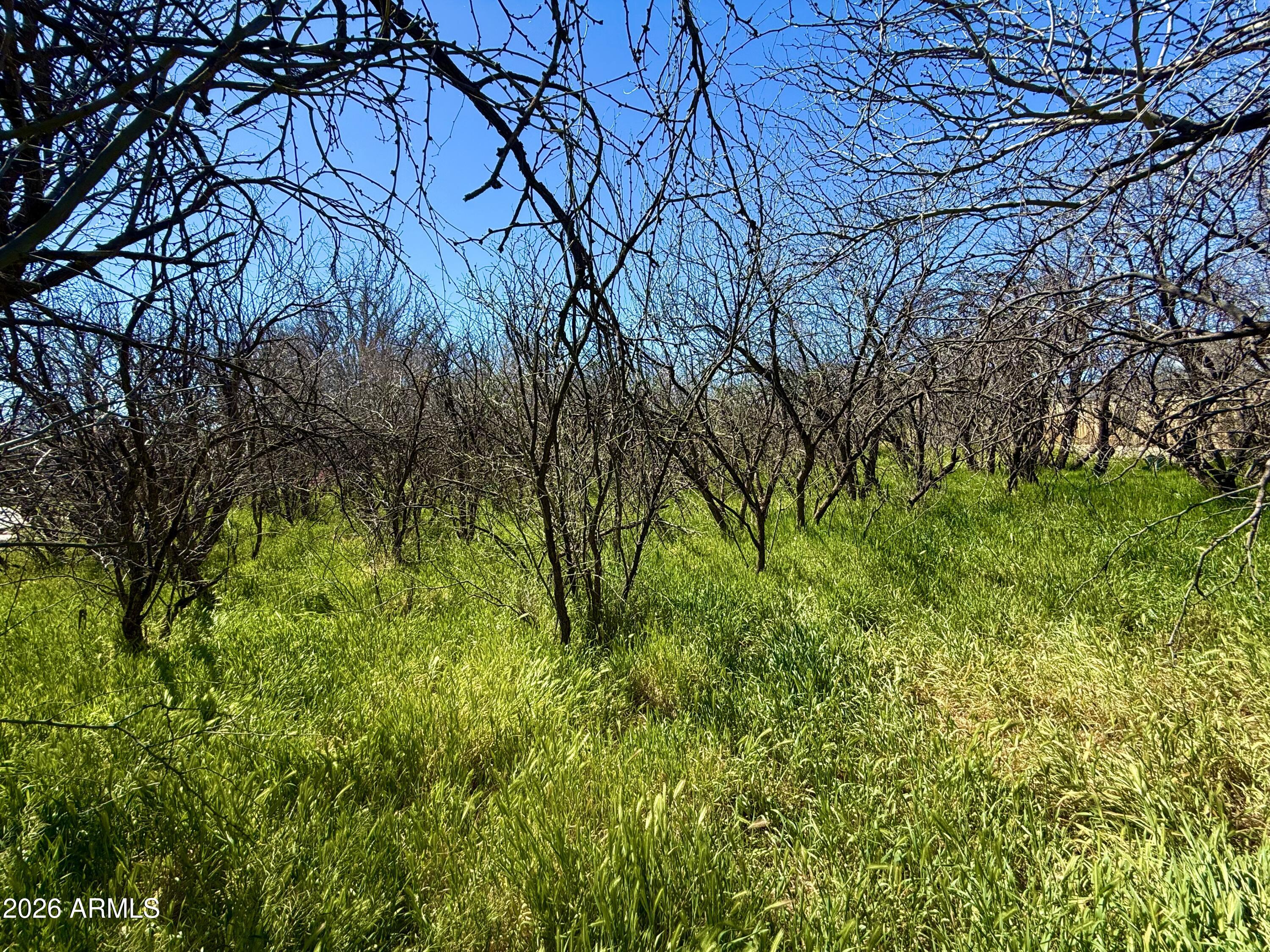 5360 North Kramer Drive, Unit 425 Rimrock, AZ 86335 - Photo 4 of 11 a backyard of a house with lots of green space