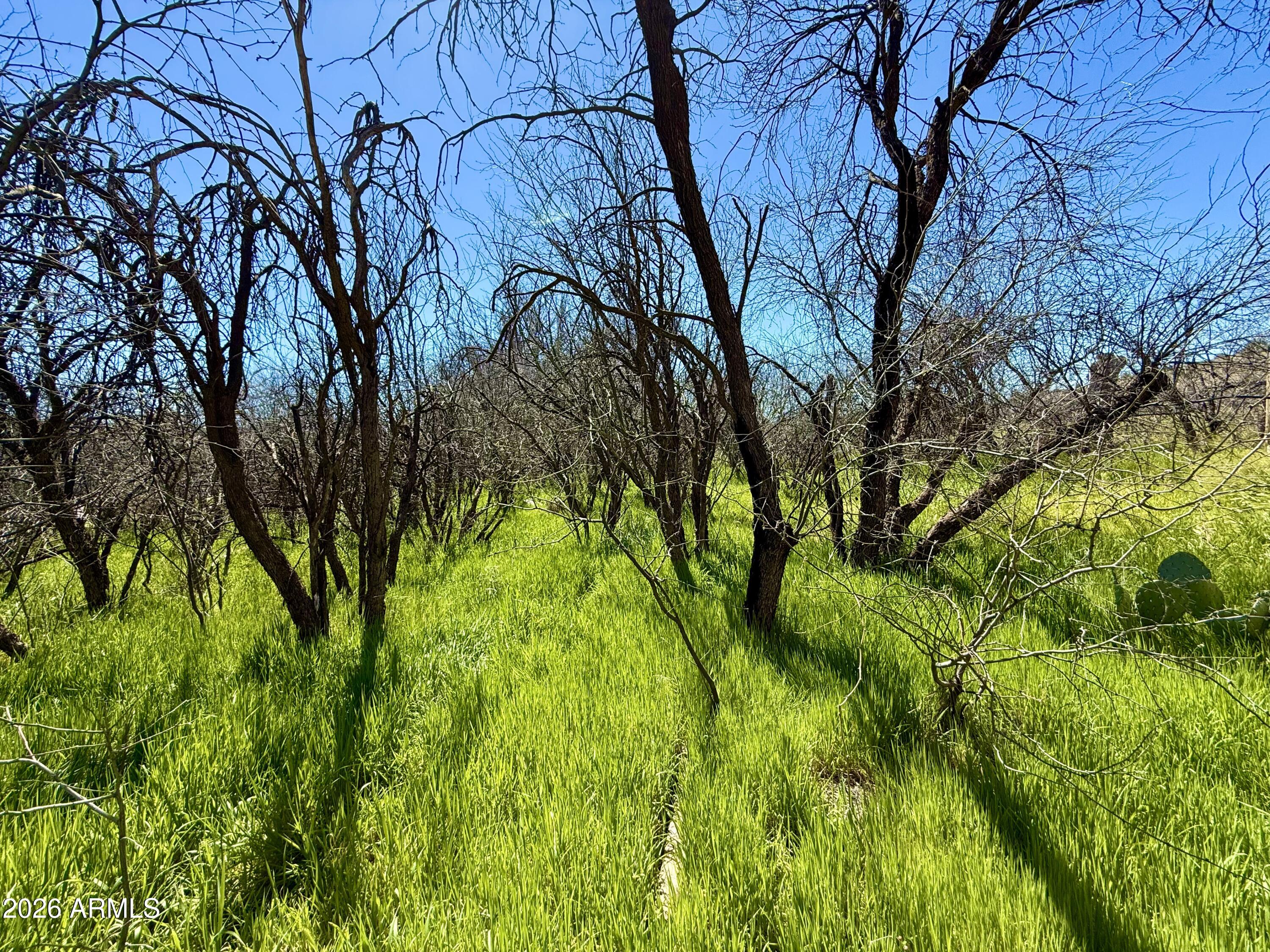 5360 North Kramer Drive, Unit 425 Rimrock, AZ 86335 - Photo 5 of 11 a backyard of a house with lots of green space