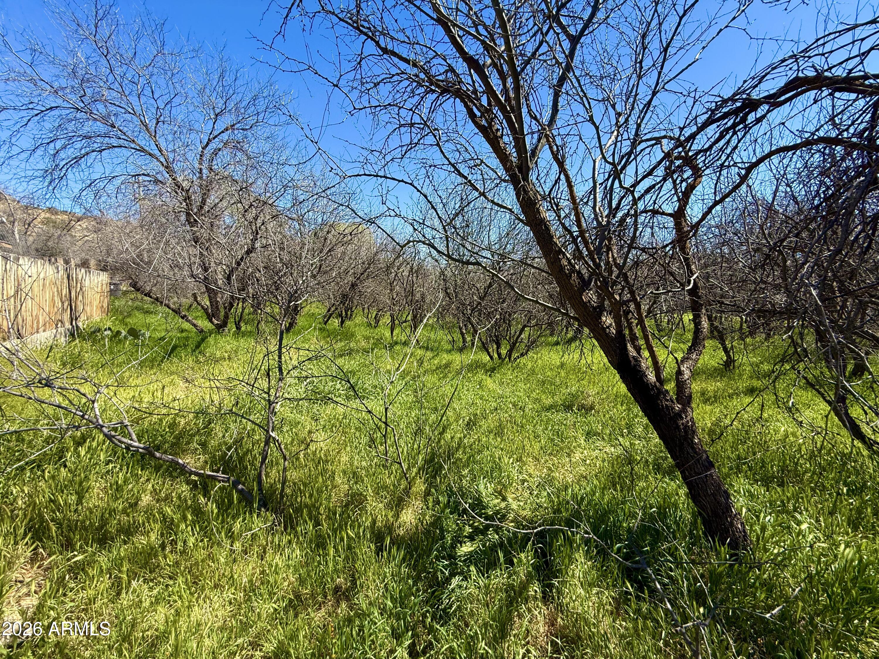 5360 North Kramer Drive, Unit 425 Rimrock, AZ 86335 - Photo 6 of 11 a backyard of a building with large trees