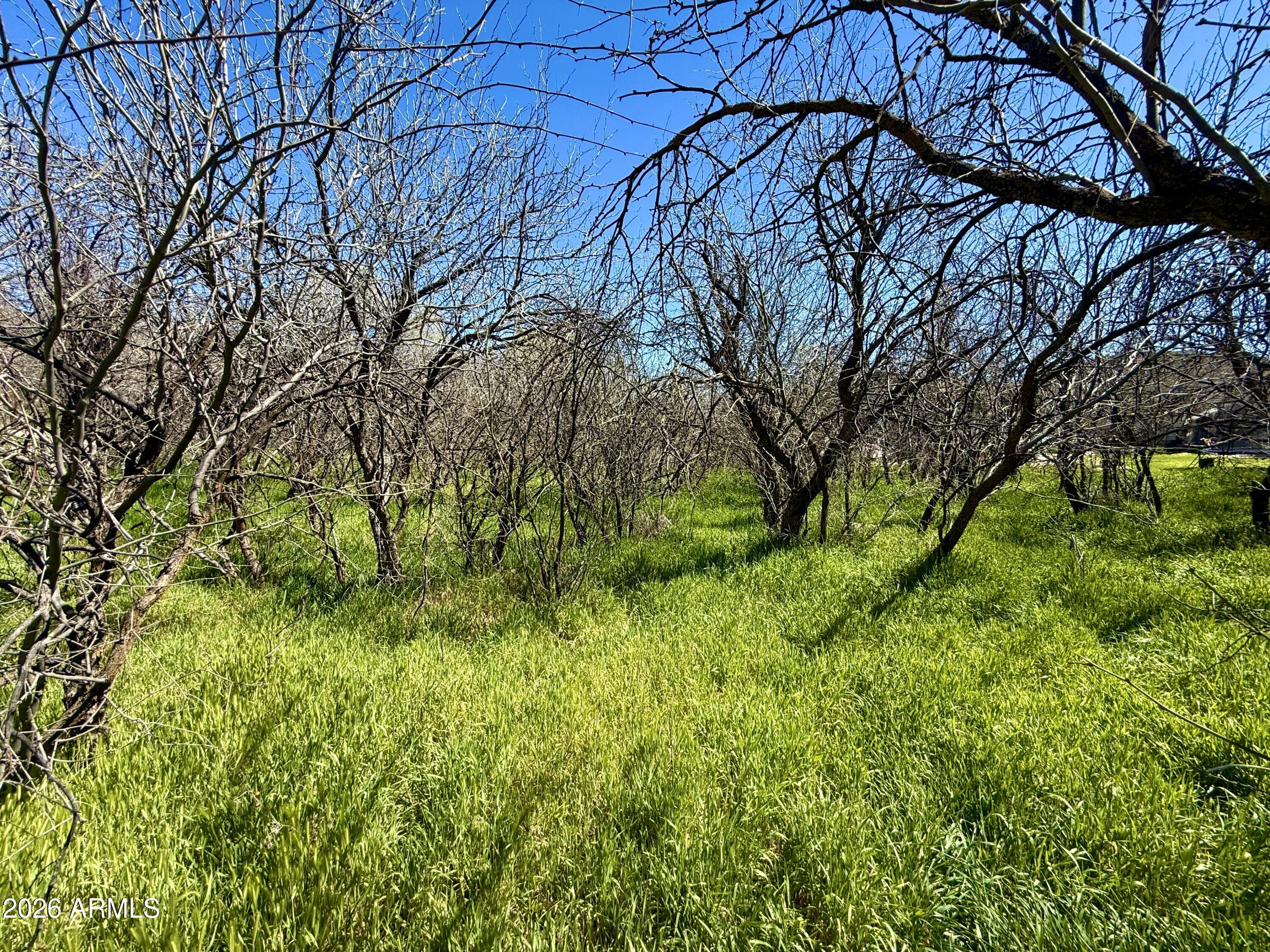 5360 North Kramer Drive, Unit 425 Rimrock, AZ 86335 - Photo 7 of 11 a backyard of a house with lots of green space