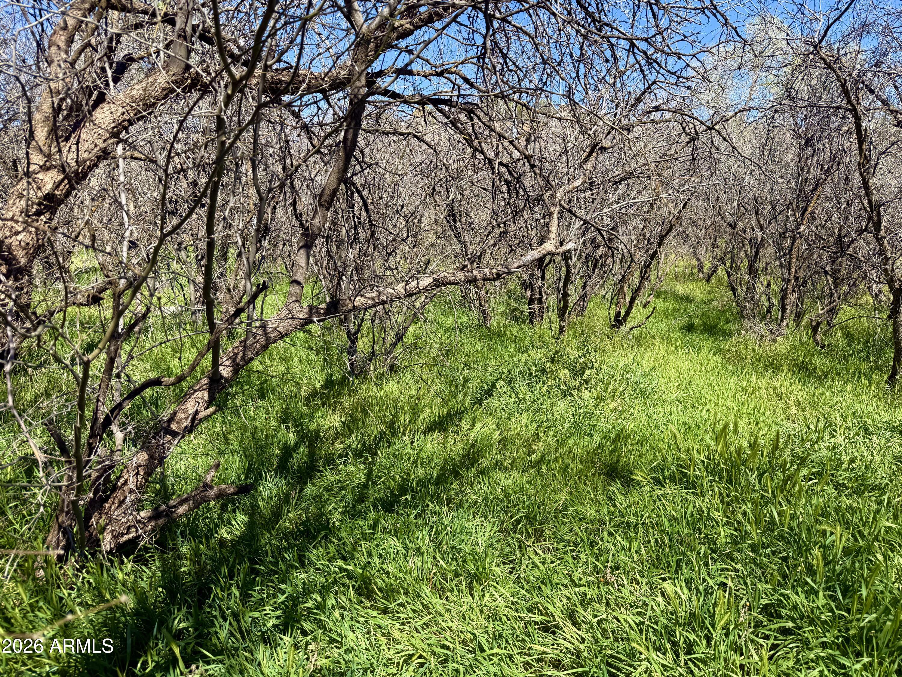 5360 North Kramer Drive, Unit 425 Rimrock, AZ 86335 - Photo 8 of 11 a backyard of a house with lots of green space