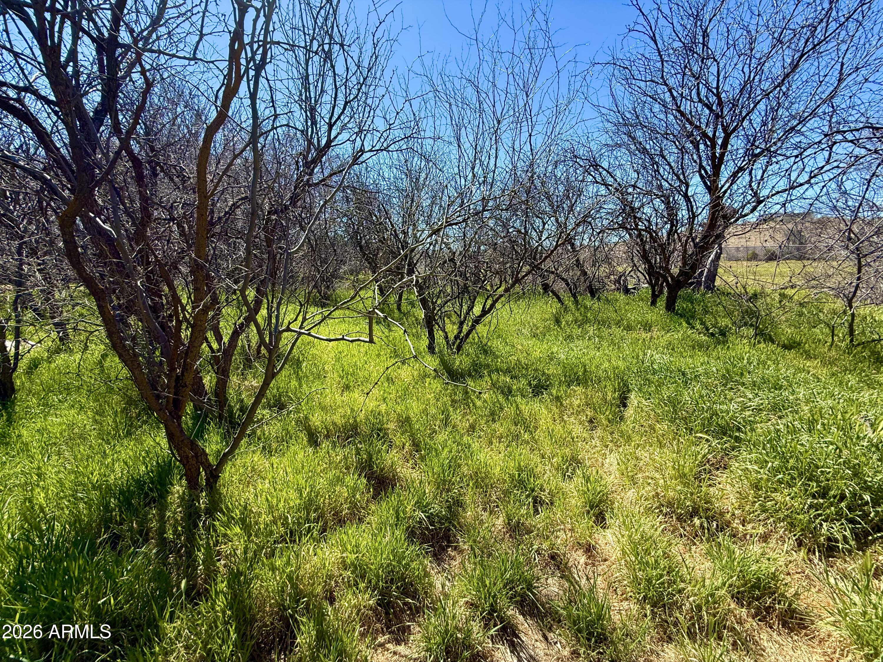 5360 North Kramer Drive, Unit 425 Rimrock, AZ 86335 - Photo 9 of 11 a view of yard