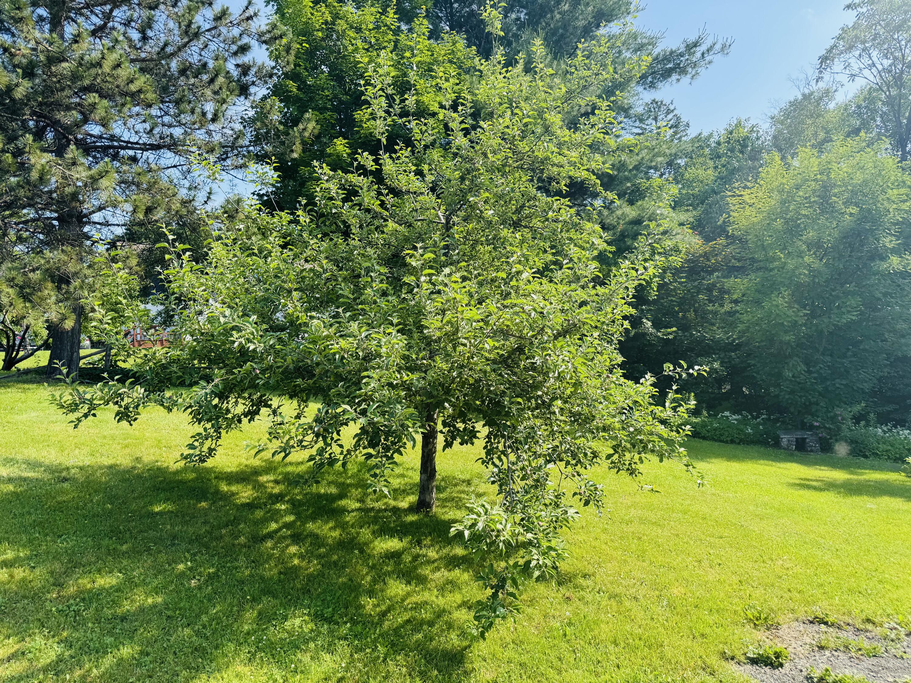 745 Main Street Caribou, ME 04736 - Photo 12 of 47 IMG_4004