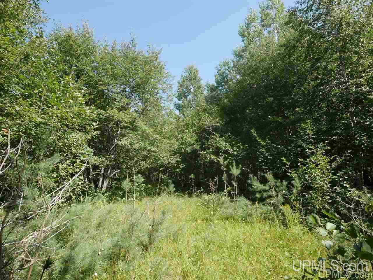 56917 Koskela Road Calumet, MI 49913 - Photo 18 of 36