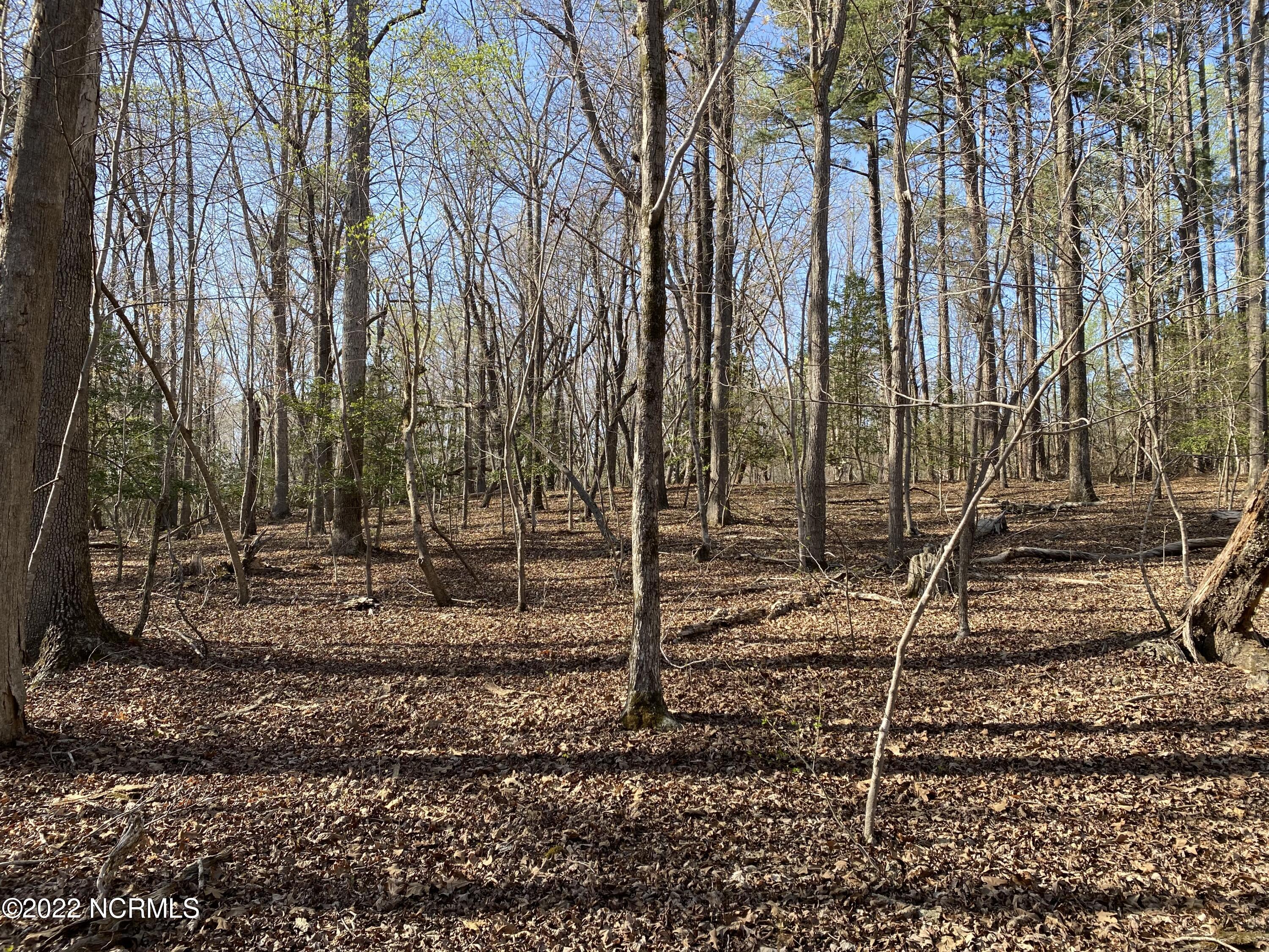 Lot 18 Palomino Road Carthage, NC 28327 - Photo 3 of 10 IMG_8959
