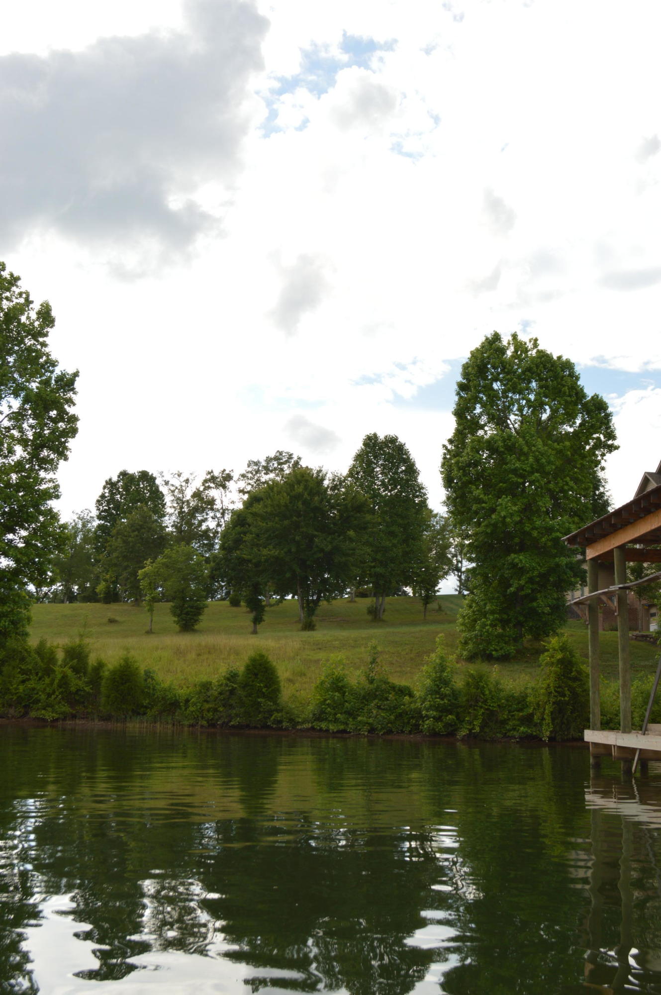 412 Waterfront Way, Unit 26 Spring City, TN 37381 - Photo 4 of 14 DSC_0056