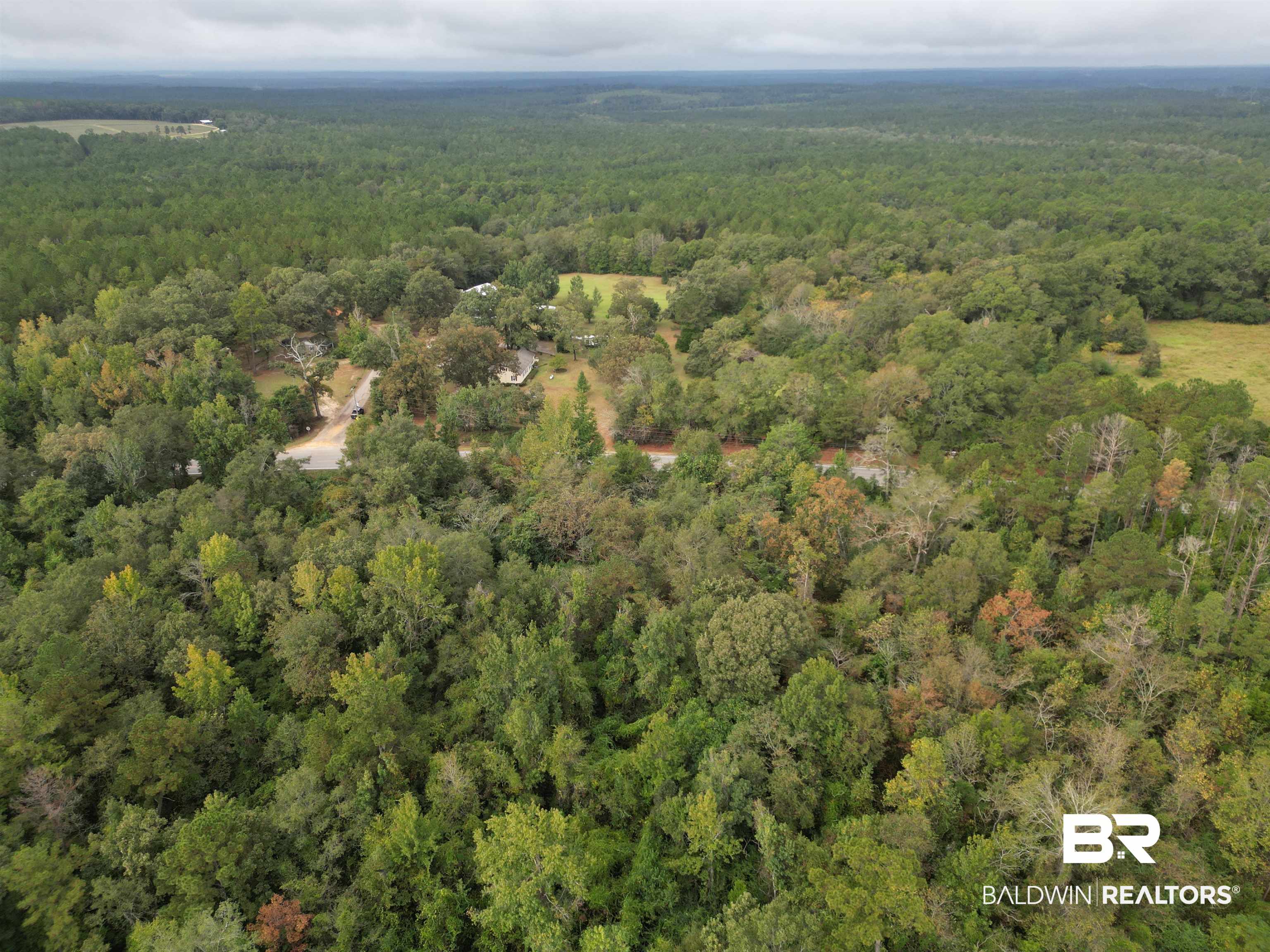 17606 Highway 41 Brewton, AL 36426 - Photo 4 of 13 Aerial overview of property's location with a heavily wooded area