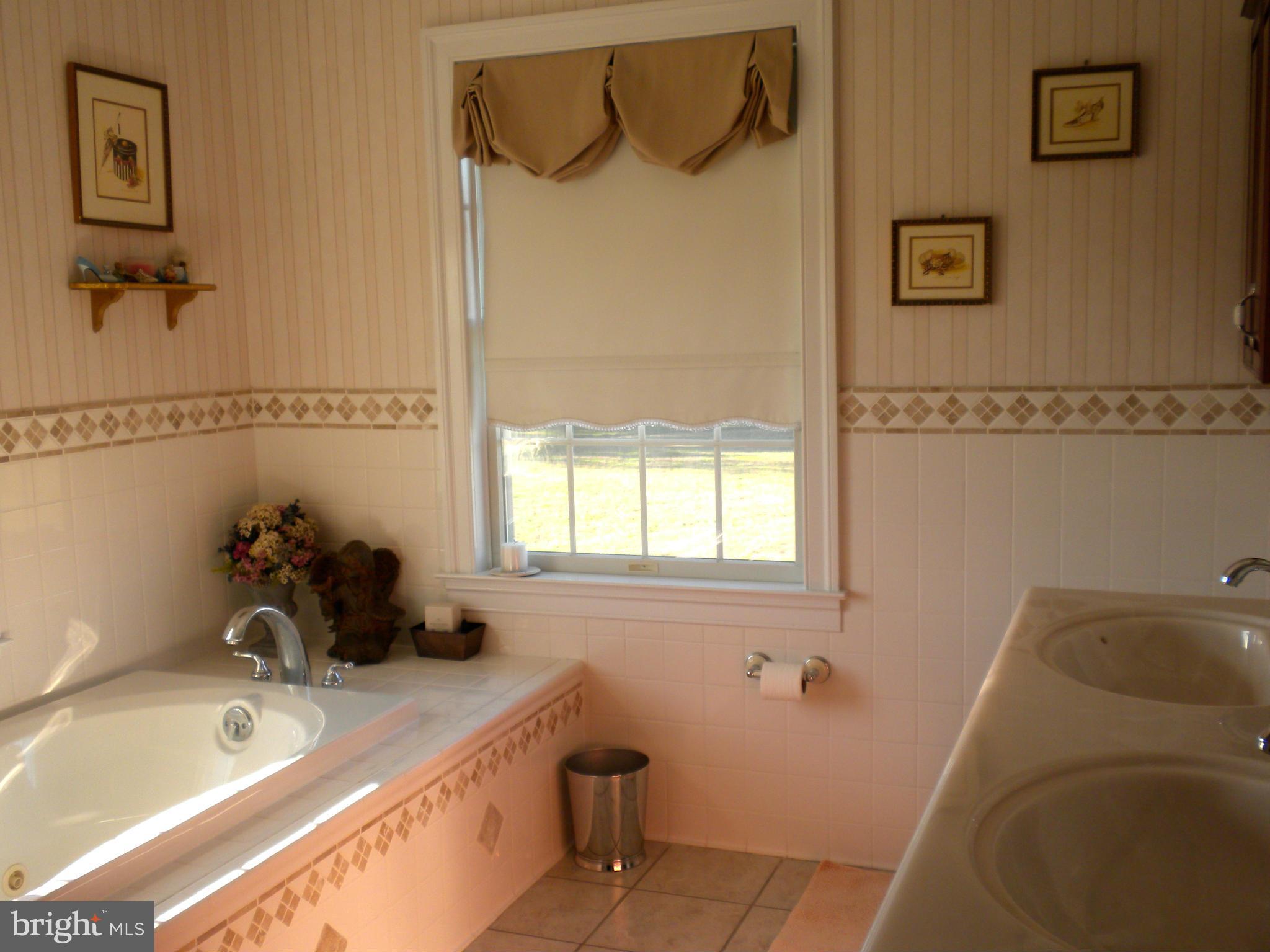 13744 Still Pond Road Still Pond, MD 21667 - Photo 17 of 29 Bath (Master)