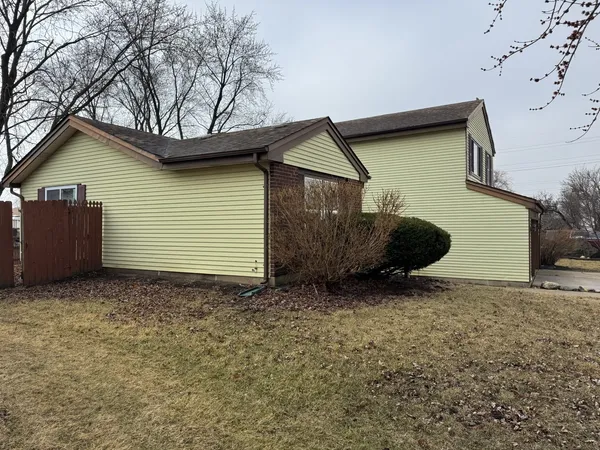 a backyard of a house with garage and a large tree