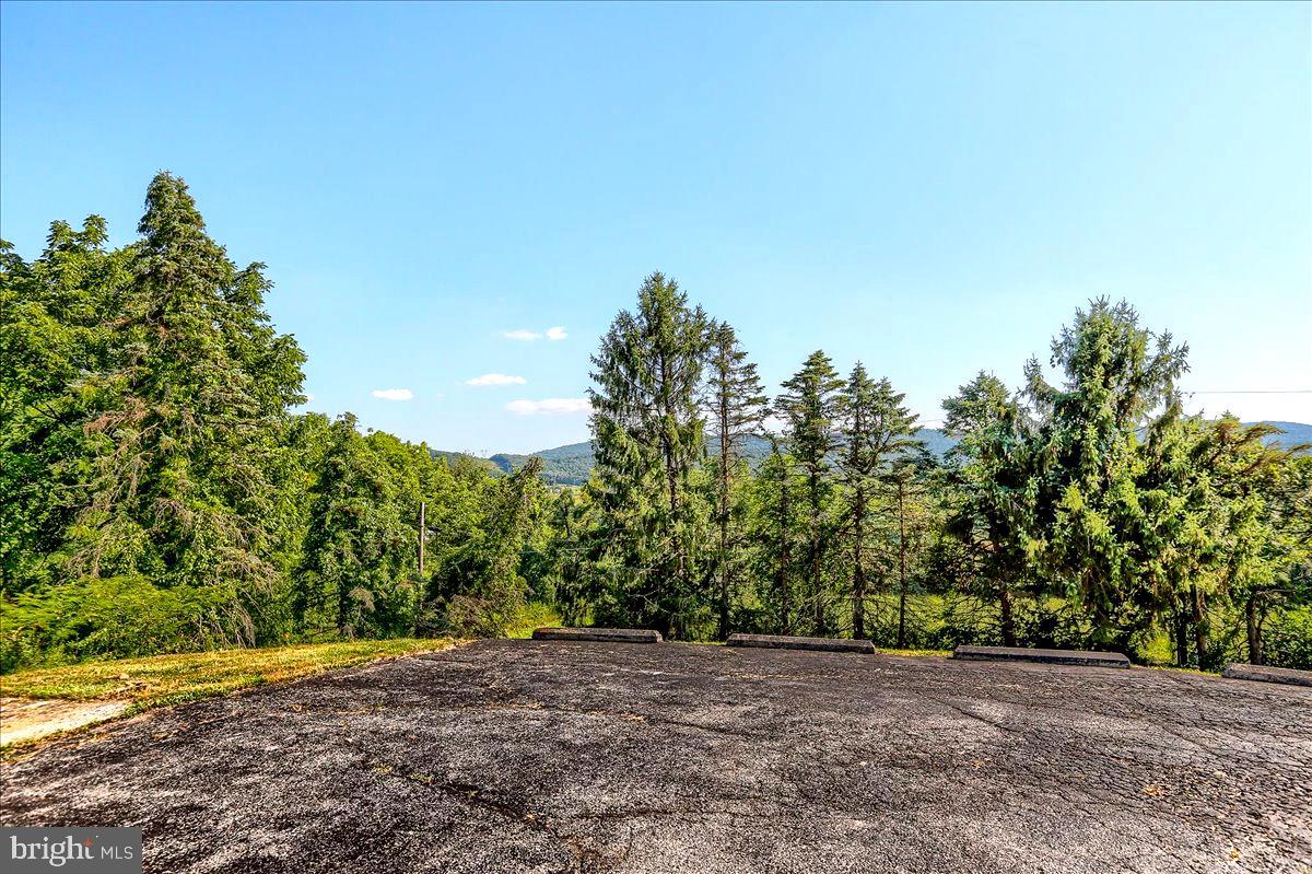 145 Mountainview Road Shermans Dale, PA 17090 - Photo 36 of 36 Would you look at those views!!