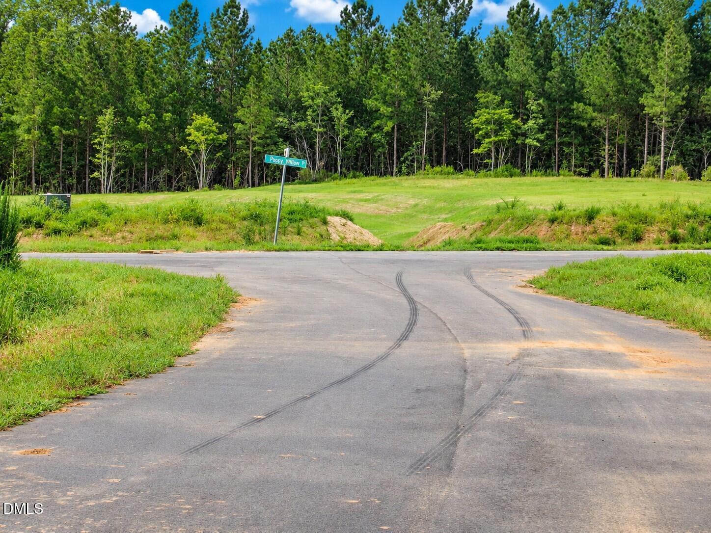 4447 Poppy Mallow Lane Rougemont, NC 27572 - Photo 5 of 7 Streets