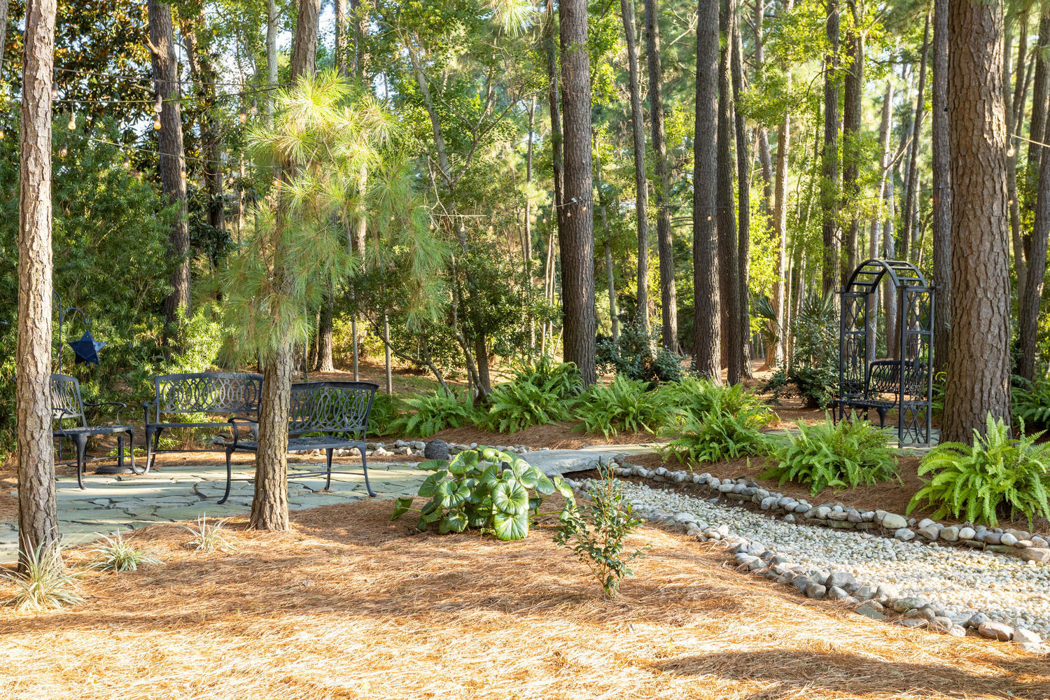 1347 Old Brickyard Road Mount Pleasant, SC 29466 - Photo 52 of 62 Walking paths