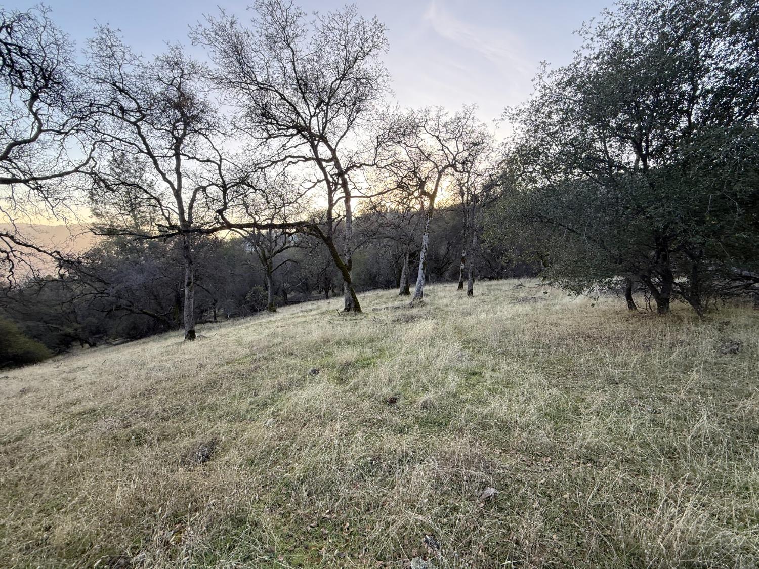 0 Country Road Browns Valley, CA 95918 - Photo 1 of 1 Gallery Image 1
