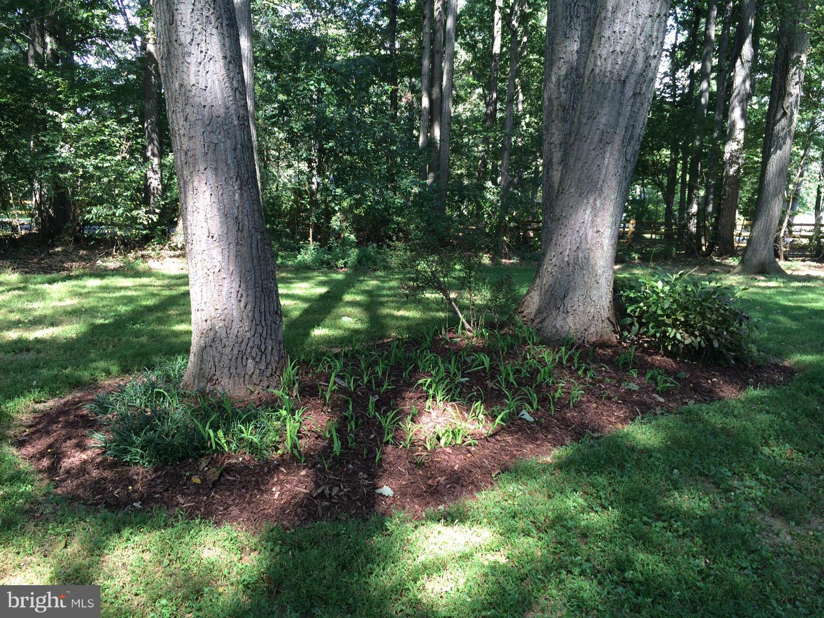 7228 Gaither Road Sykesville, MD 21784 - Photo 22 of 24 lush landscaping in the fenced rear yard