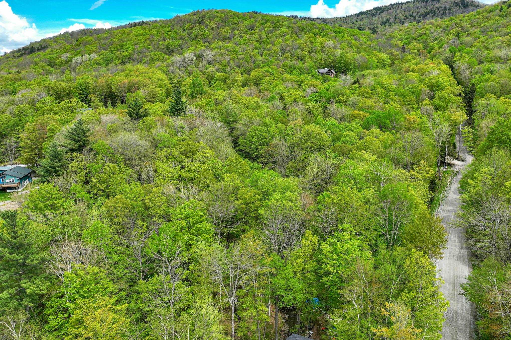 0 Doubleday Hill Road, Unit LOT 8 Killington, VT 05751 - Photo 11 of 12