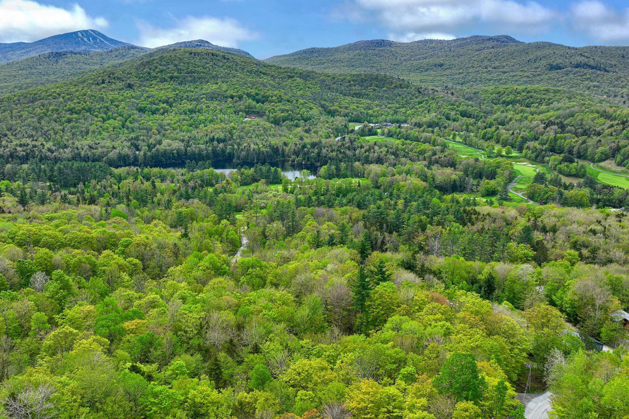 0 Doubleday Hill Road, Unit LOT 8 Killington, VT 05751 - Photo 6 of 12