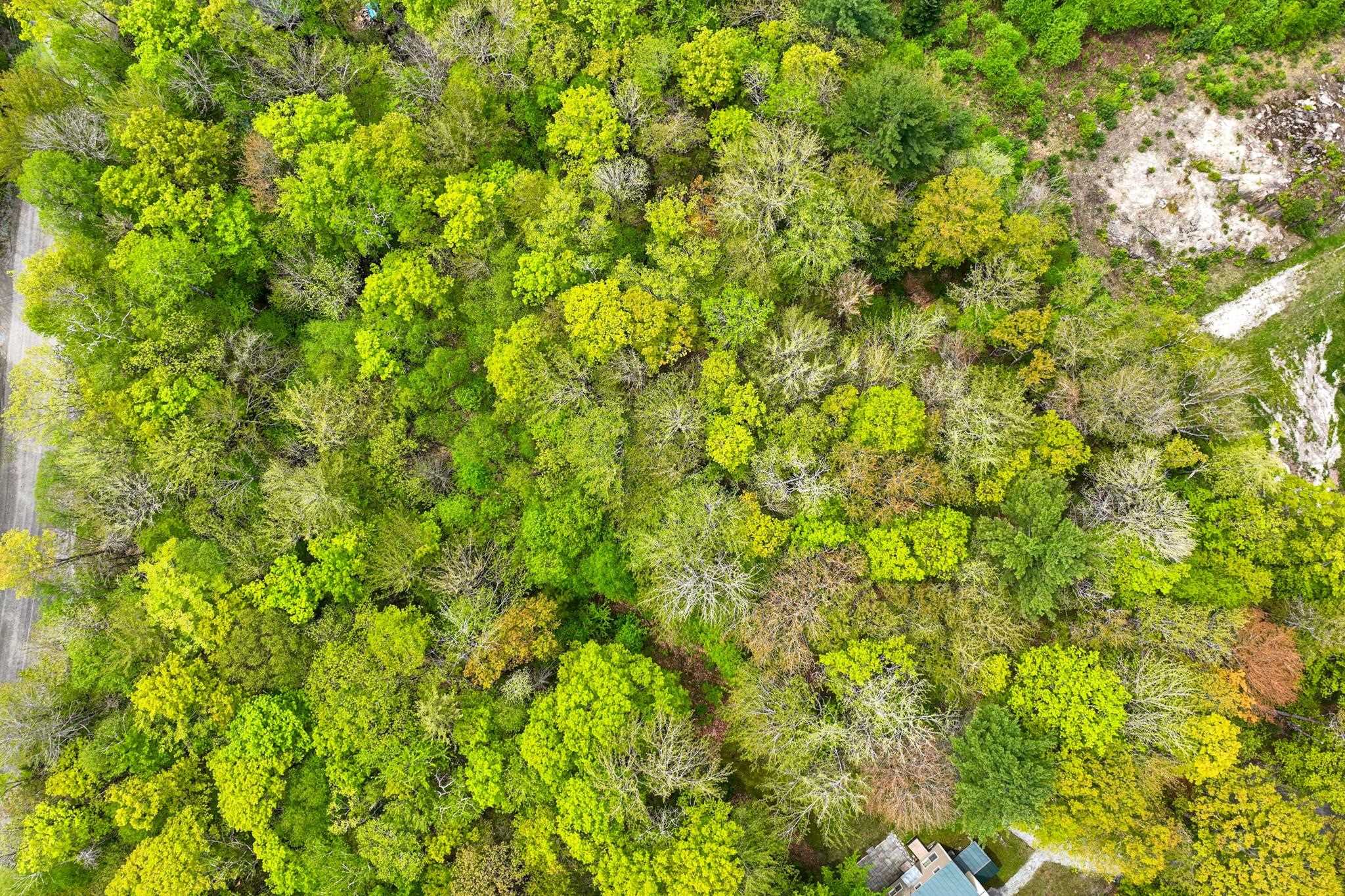 0 Doubleday Hill Road, Unit LOT 8 Killington, VT 05751 - Photo 9 of 12