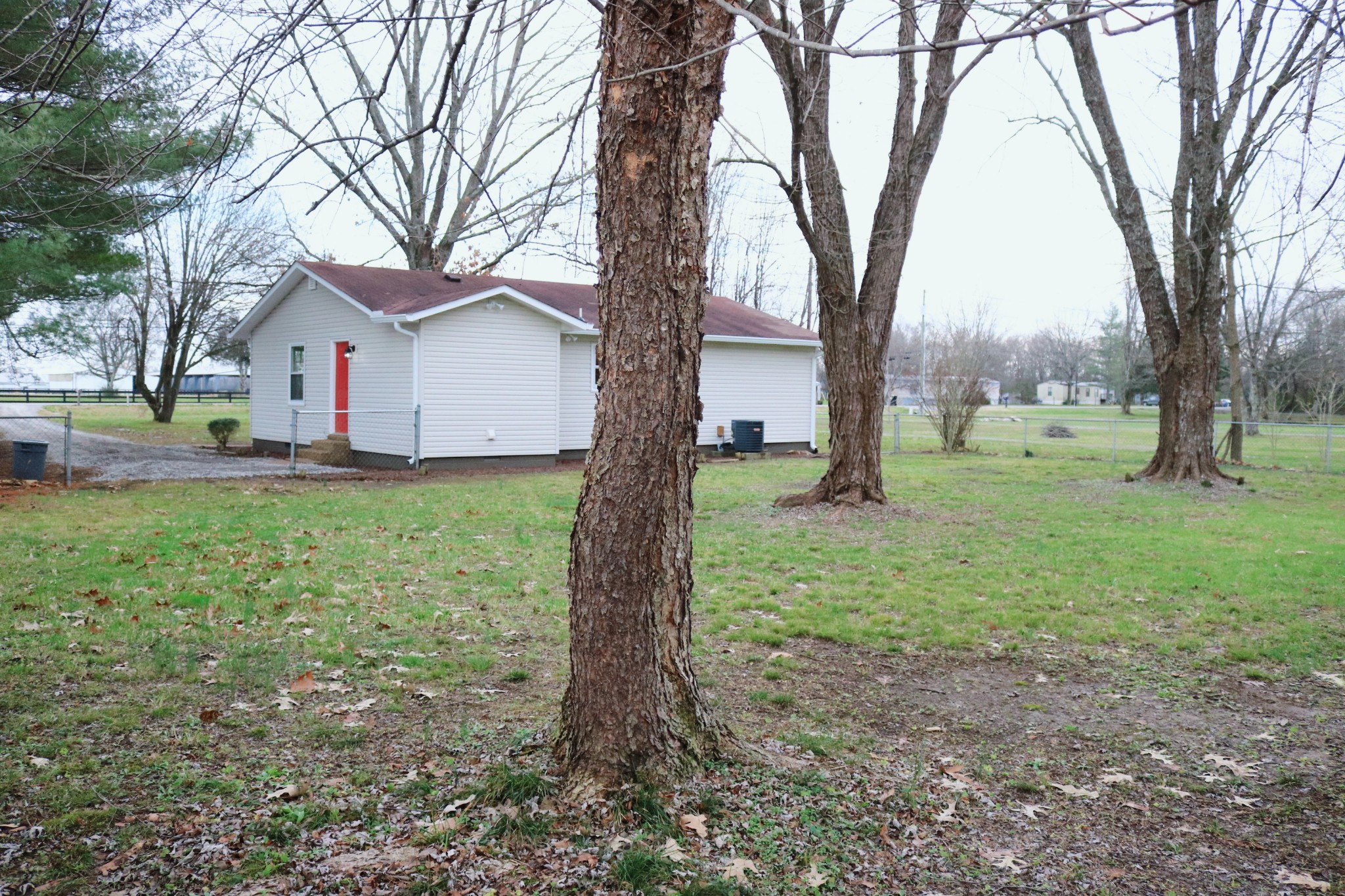 3322 Fann Road Murfreesboro, TN 37128 - Photo 29 of 29 a large tree in the middle of a yard
