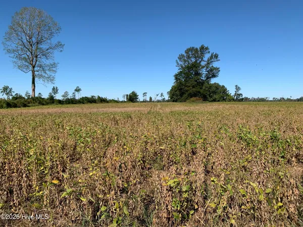 $125,000 | Tbd Hendrix Lane, Windsor, NC 27983