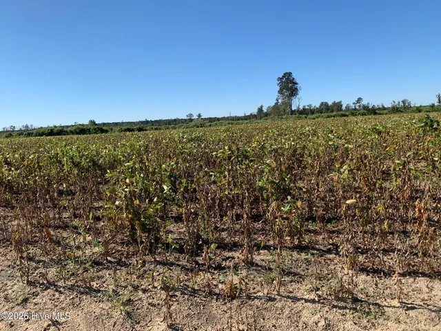 $125,000 | Tbd Hendrix Lane, Windsor, NC 27983