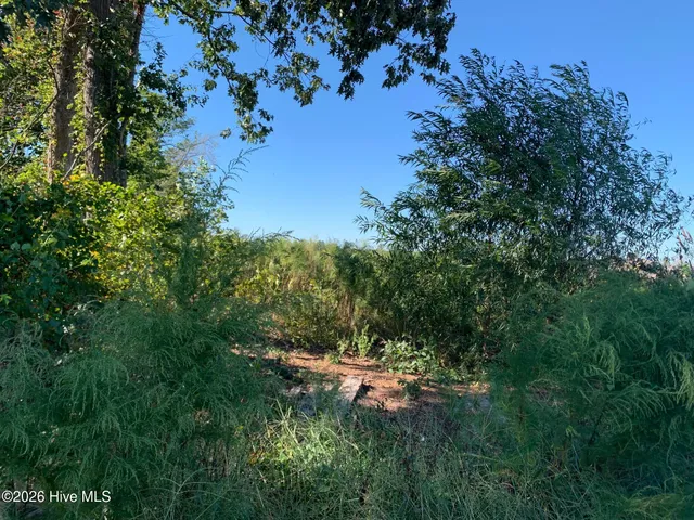 $125,000 | Tbd Hendrix Lane, Windsor, NC 27983