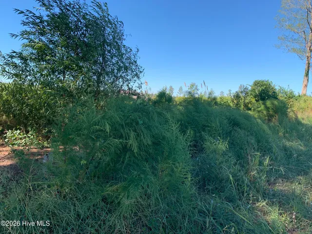 $125,000 | Tbd Hendrix Lane, Windsor, NC 27983