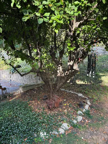 $679,000 | 38 Old Manchester Road, Amherst, NH 03031