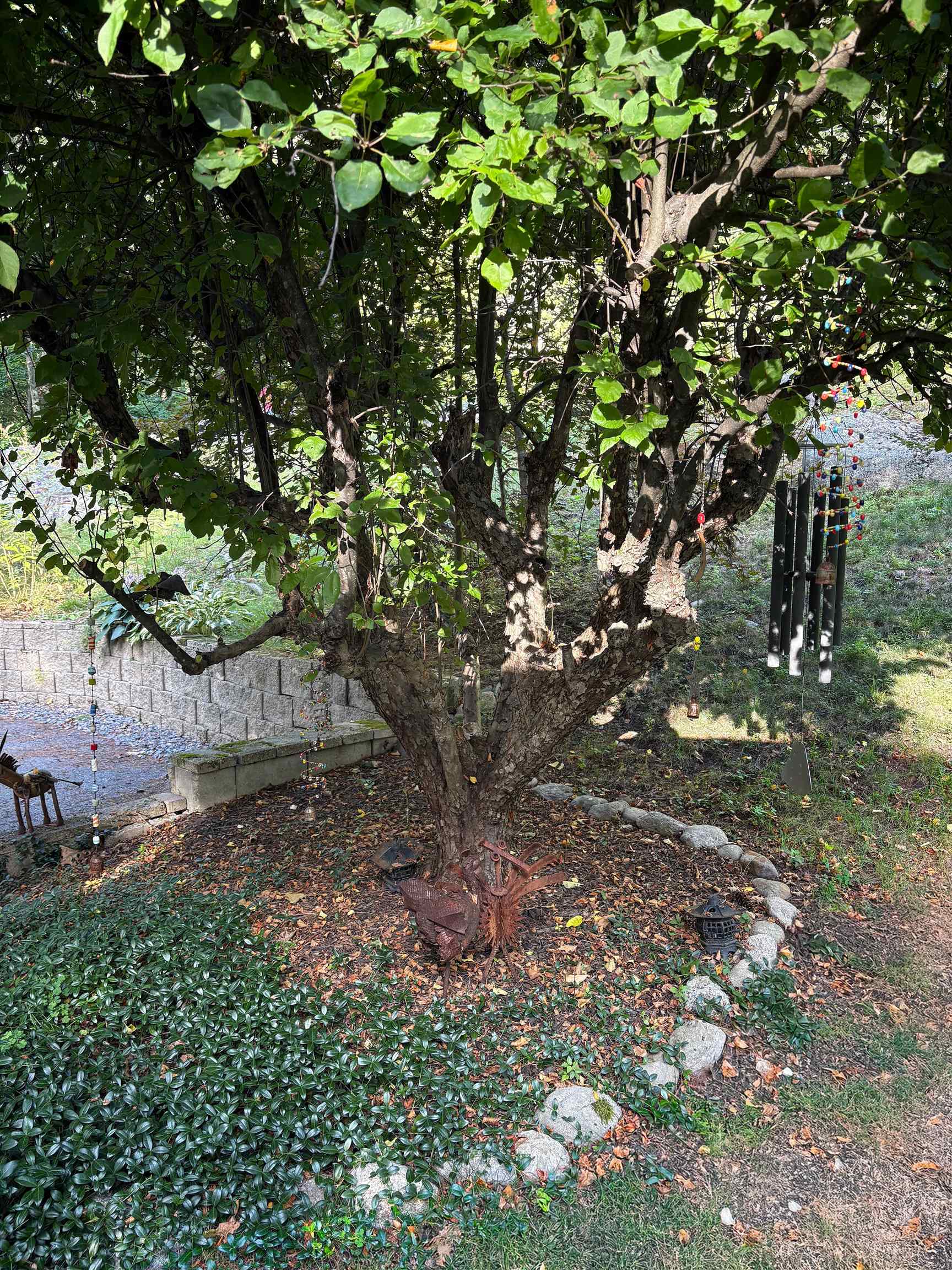 38 Old Manchester Road Amherst, NH 03031 - Photo 48 of 53