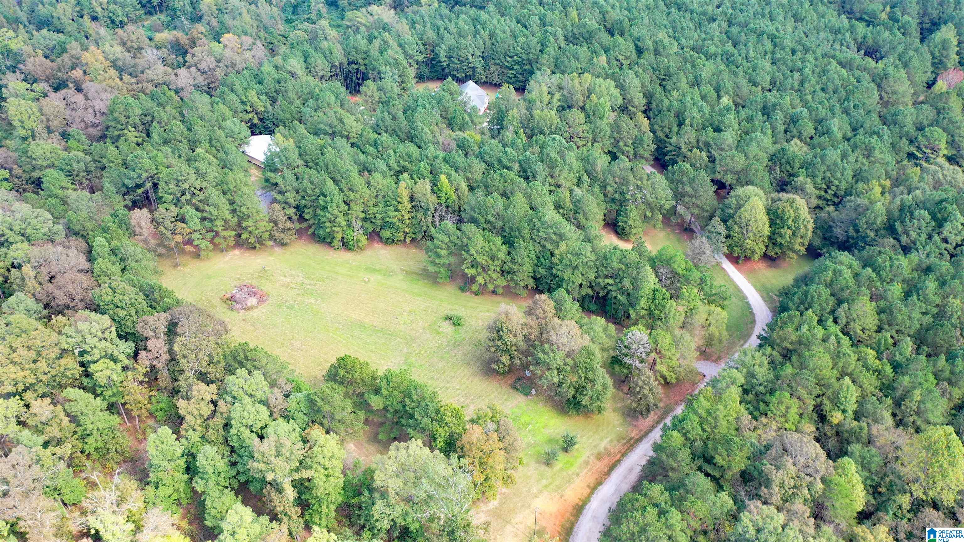 0 Alston Farm Road Columbiana, AL 35051 - Photo 1 of 4