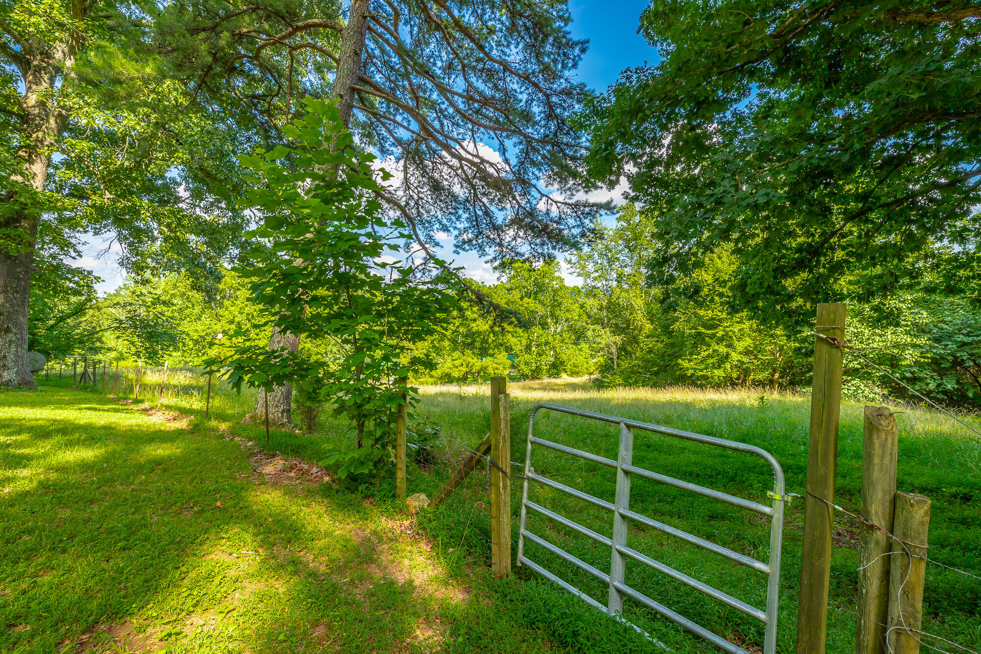 93 Bell Summers Road Pikeville, TN 37367 - Photo 63 of 80 93 Bell Summers Road HD-114