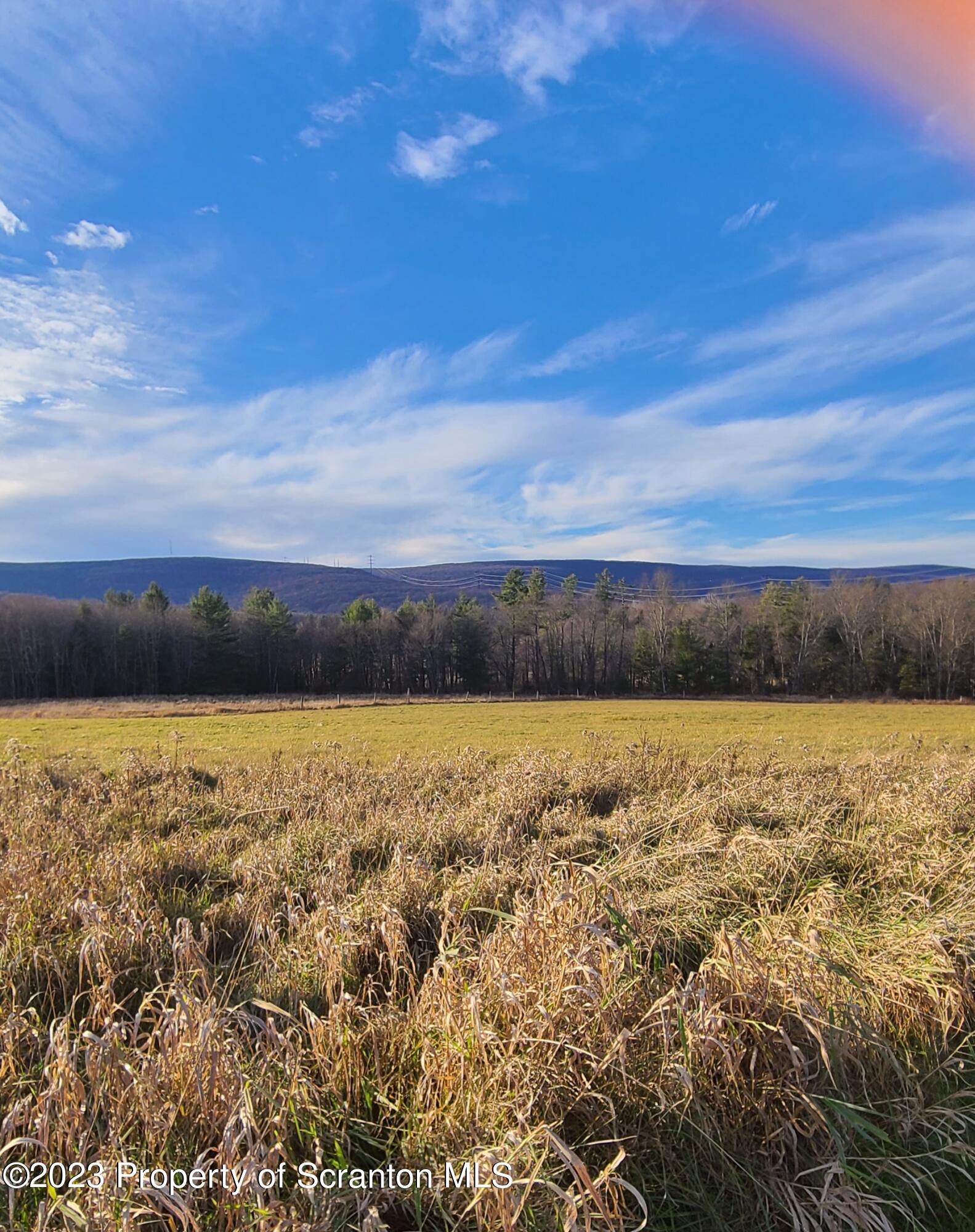 187 Faller Road Lake Ariel, PA 18436 - Photo 2 of 3 a view of an ocean