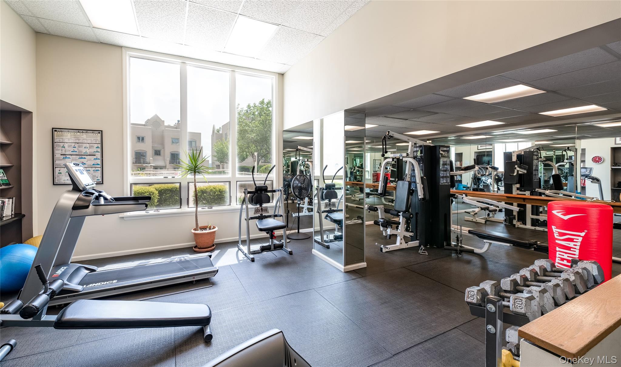 6 Burd Street, Unit 2403 Nyack, NY 10960 - Photo 28 of 29