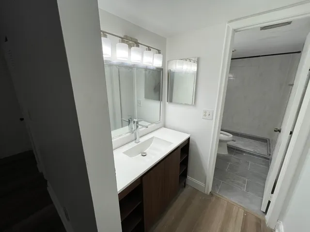 a bathroom with a double vanity sink mirror and toilet
