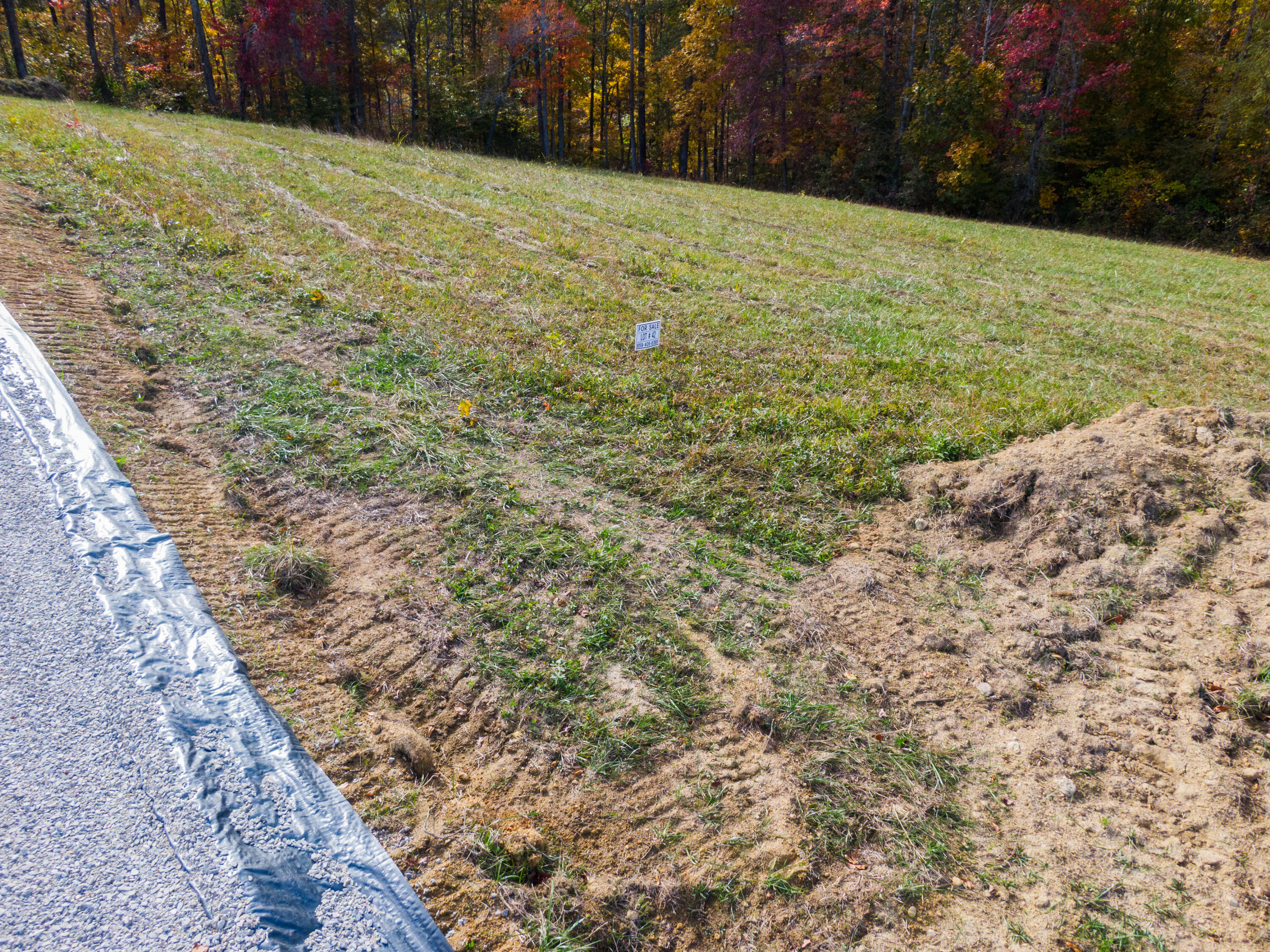 Lot 42 Spring Branch Hollow Road Nancy, KY 42544 - Photo 6 of 6 Nancy Land Photos-06