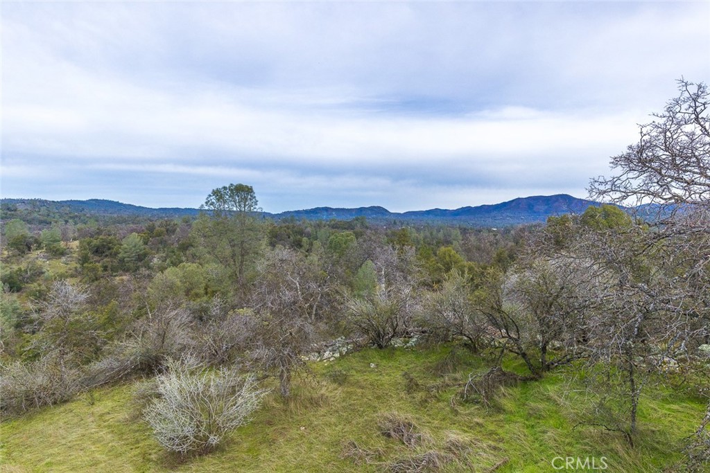 0 Fig Tree Spring Road Mariposa, CA 95338 - Photo 1 of 1 Gallery Image 1