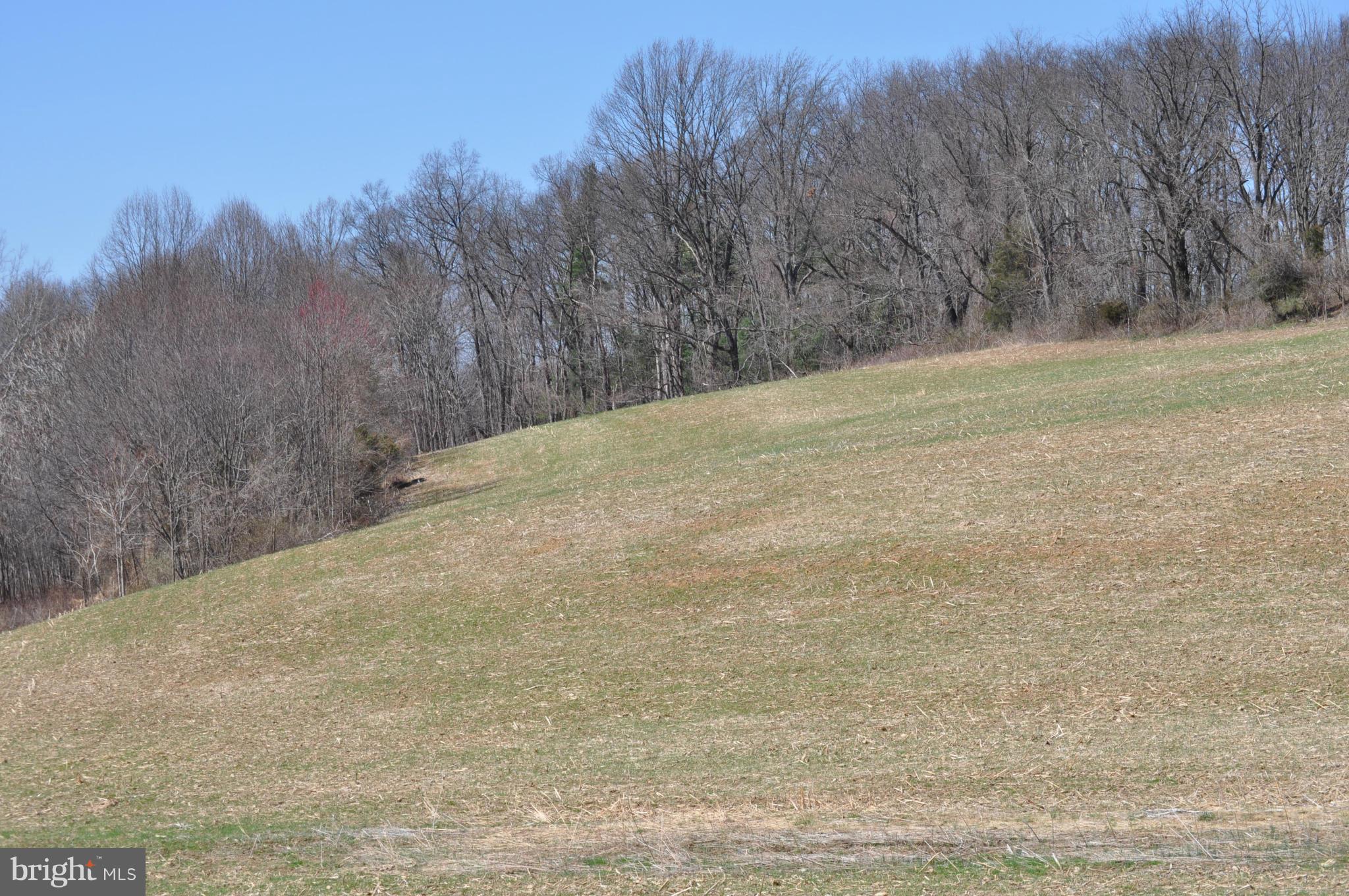 1206 Stone Road Westminster, MD 21158 - Photo 19 of 27 LOOKING OVER THE PASTURE TOWARDS WOODS
