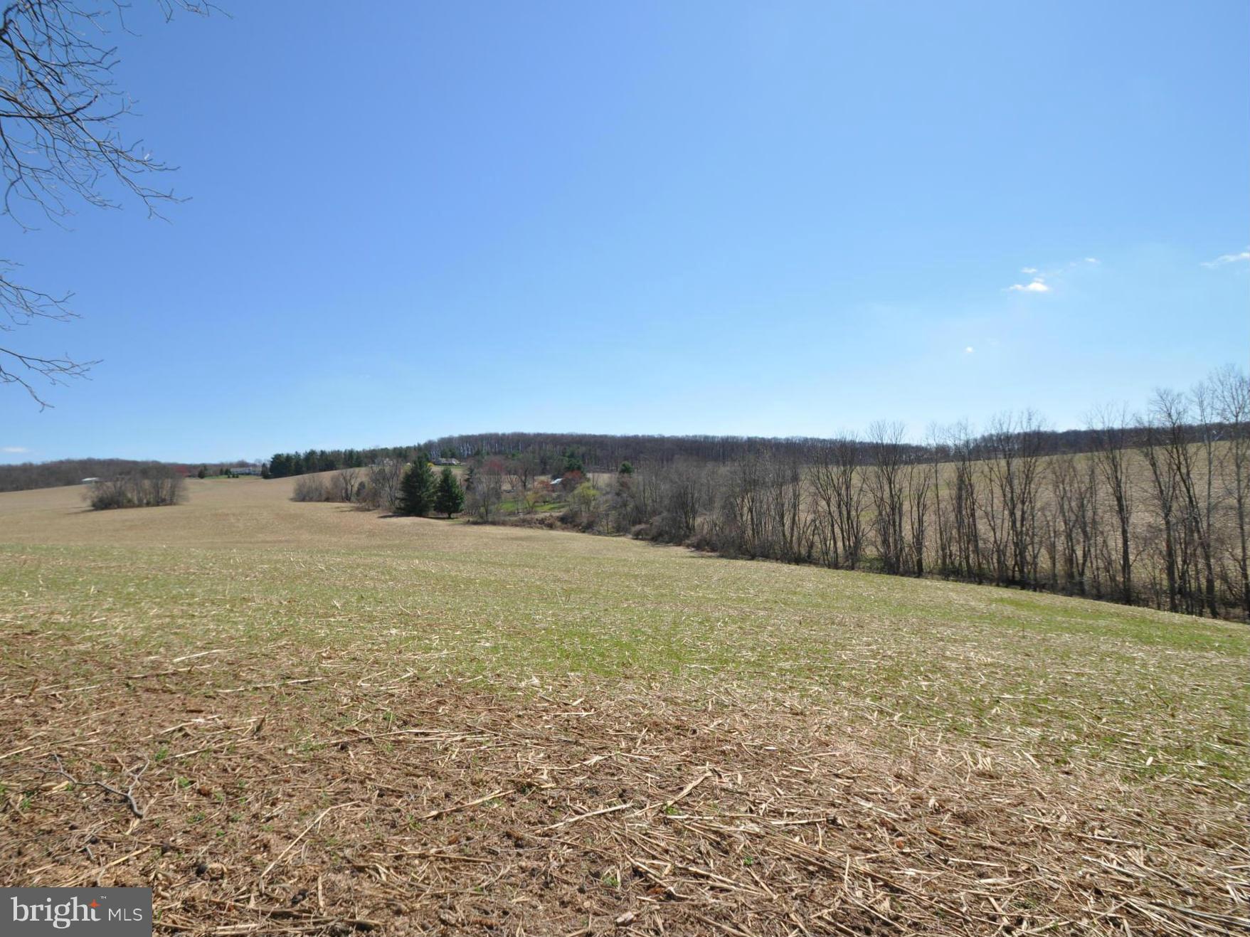 1206 Stone Road Westminster, MD 21158 - Photo 20 of 27 LOOKING TOWARDS THE BACK OF HOME