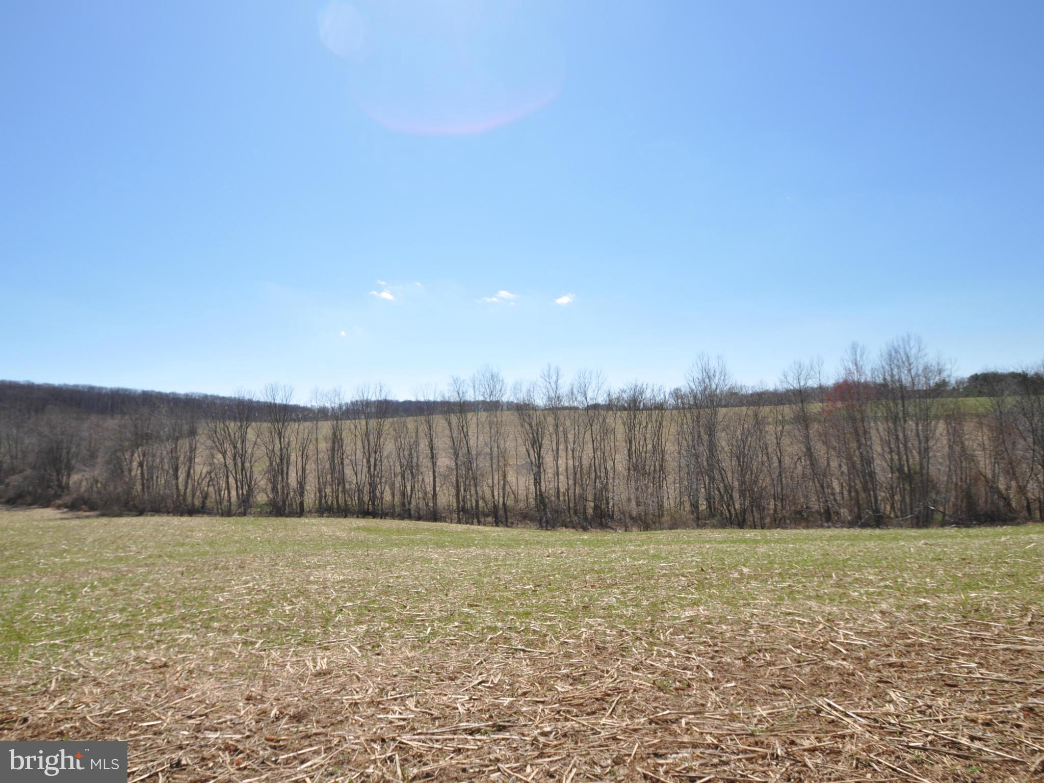 1206 Stone Road Westminster, MD 21158 - Photo 21 of 27 ABSOLUTELY BREATHTAKING