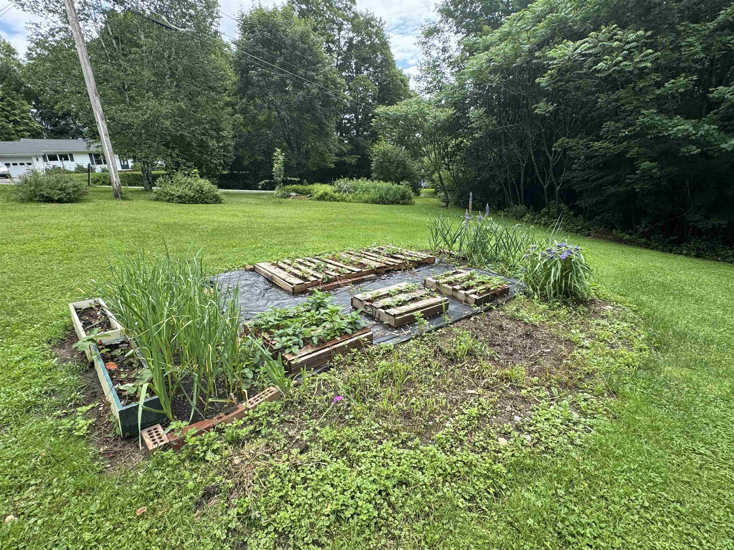 233 North Hill Road Westfield, VT 05874 - Photo 5 of 5