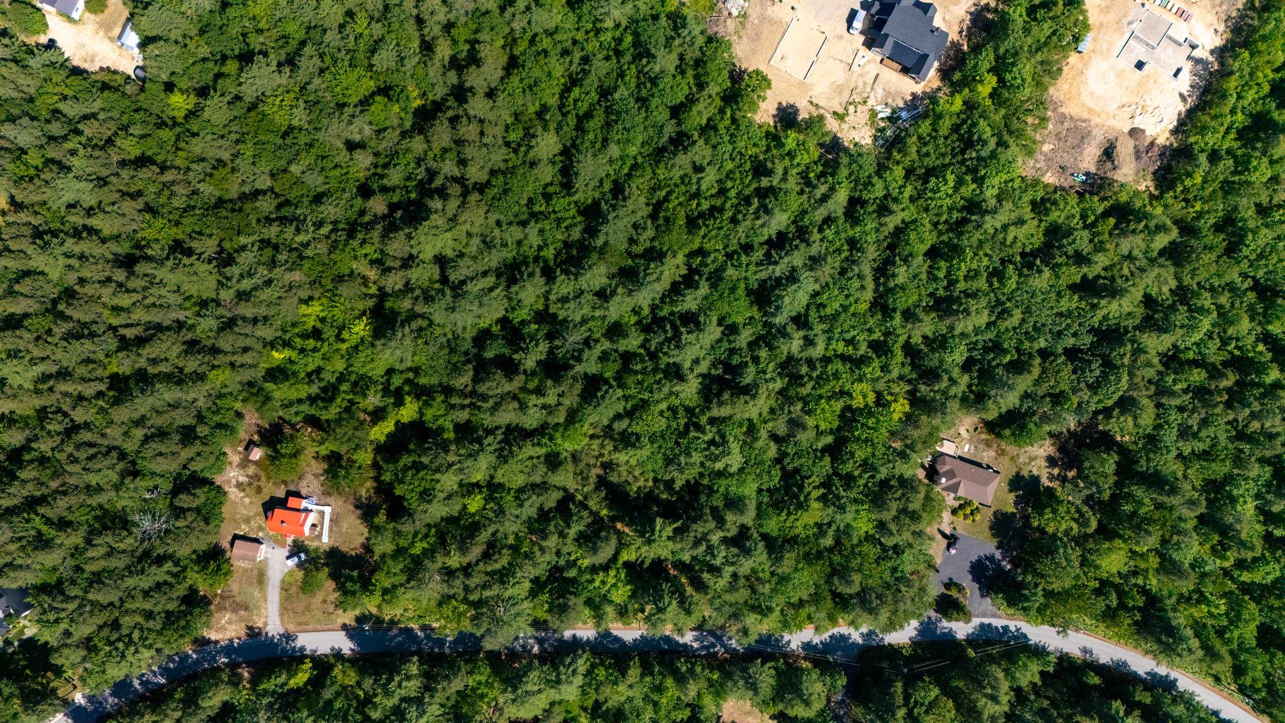 97 Ridge Road, Unit 2 Ossipee, NH 03814 - Photo 13 of 15