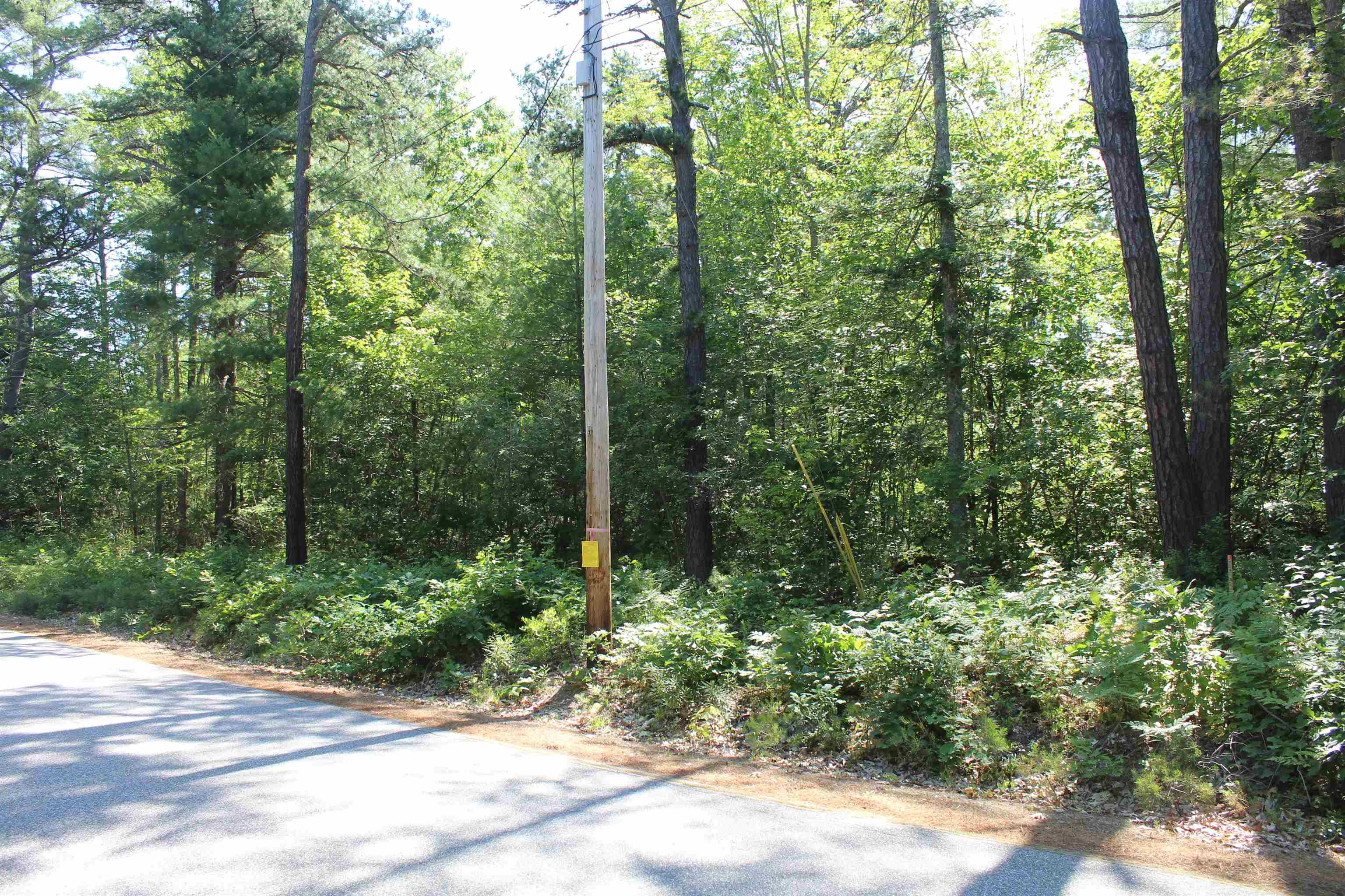 97 Ridge Road, Unit 2 Ossipee, NH 03814 - Photo 3 of 15