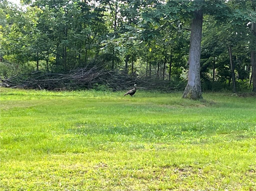 75 Cave Street Fairchance, PA 15436 - Photo 32 of 36 a view of swimming pool from a yard