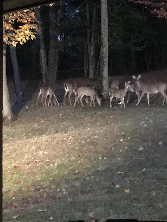 75 Cave Street Fairchance, PA 15436 - Photo 36 of 36 a view of a backyard with table and chairs and a grill