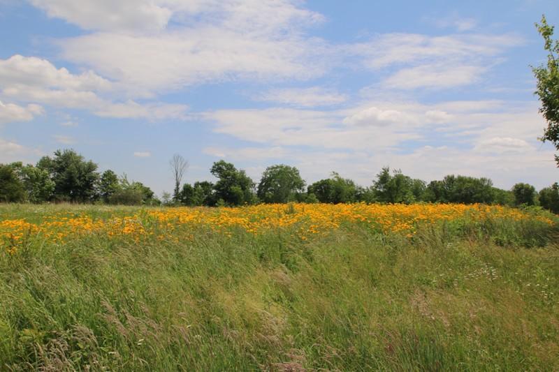 4308 Patrick Road Sunbury, OH 43074 - Photo 9 of 80 Gallery Image 9
